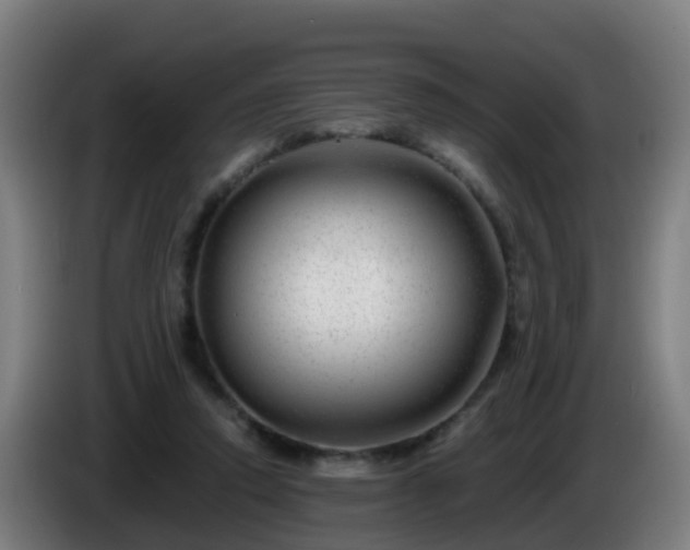 X0000086100354200703301219
