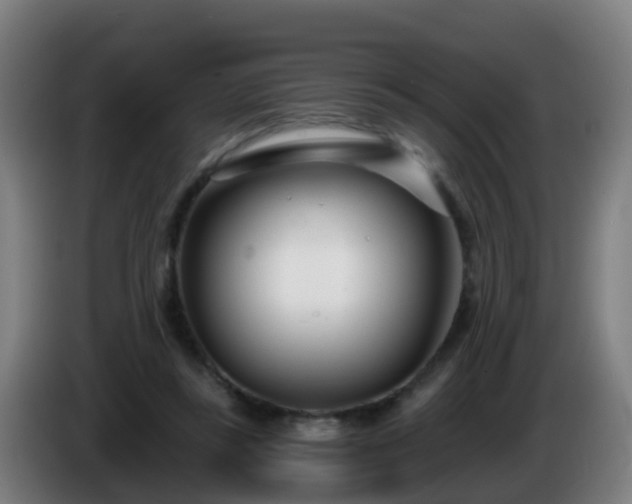 X0000086100355200703301219