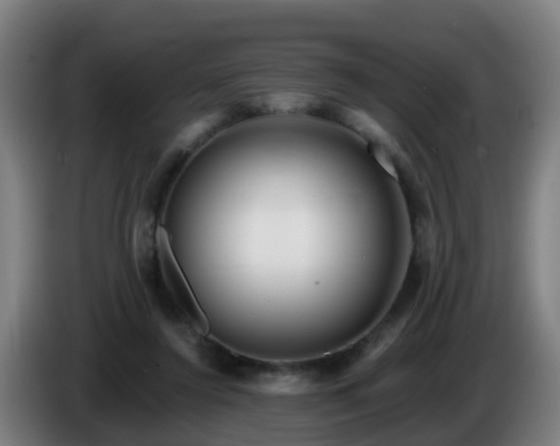 X0000086100356200703301220