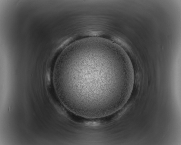 X0000086100358200703301220