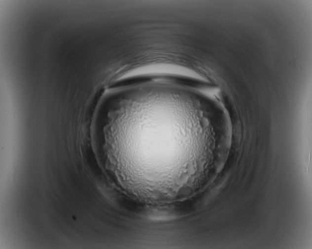 X0000086100359200703301220