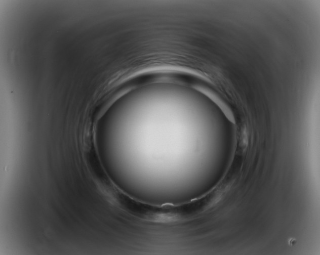 X0000086100360200703301220