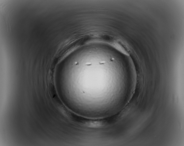 X0000086100361200703301220