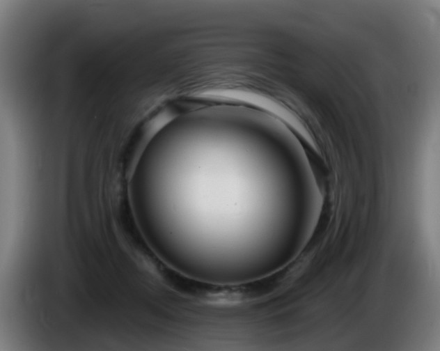 X0000086100362200703301220