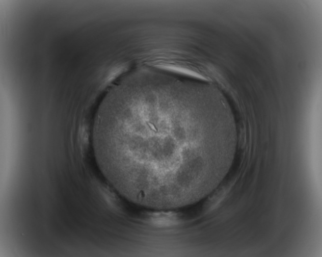 X0000086100363200703301220
