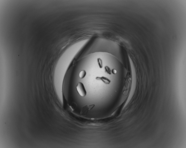 X0000086100364200703301220
