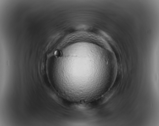 X0000086100365200703301220
