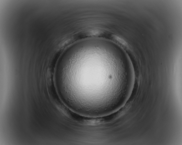 X0000086100366200703301220