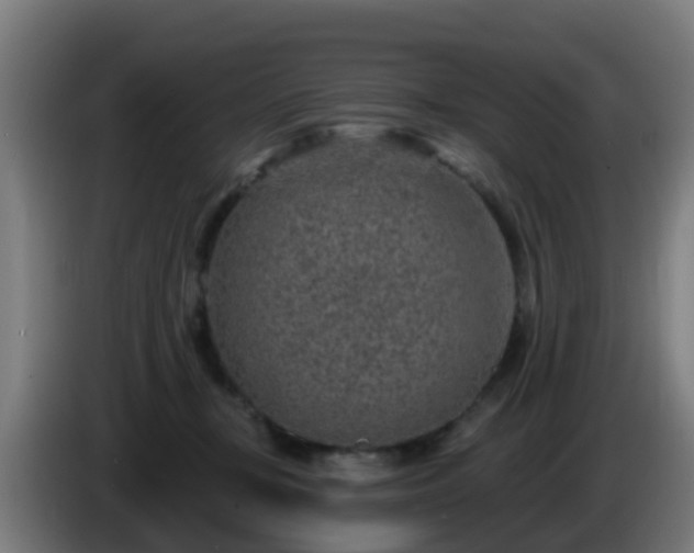 X0000086100367200703301220