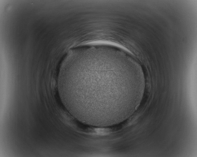 X0000086100371200703301220