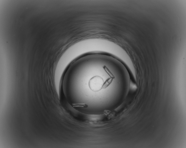 X0000086100372200703301220