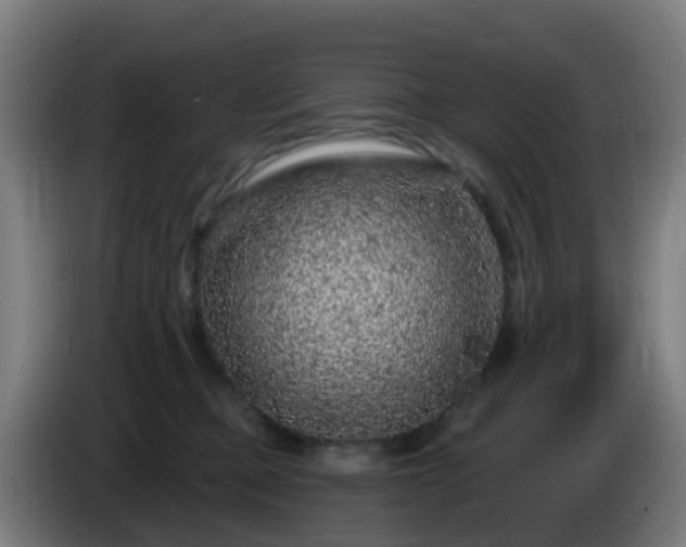 X0000086100373200703301220