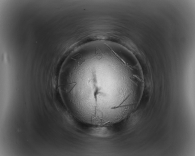 X0000086100374200703301220