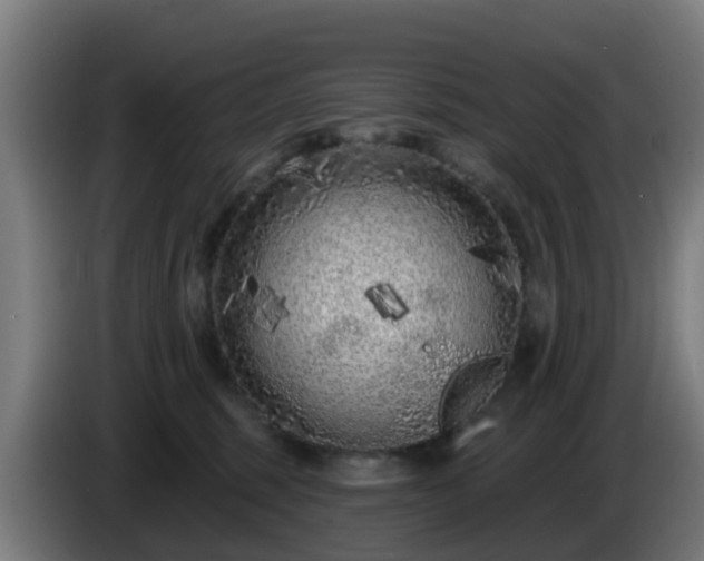 X0000086100375200703301220