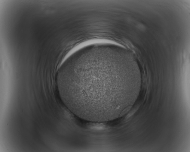 X0000086100377200703301220