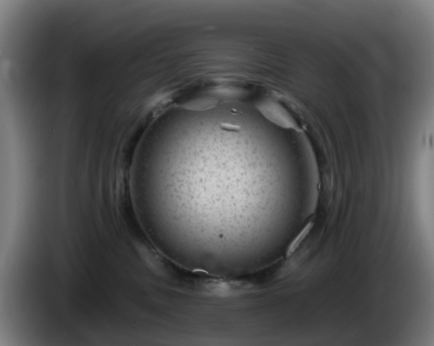 X0000086100379200703301220