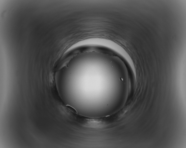 X0000086100380200703301220