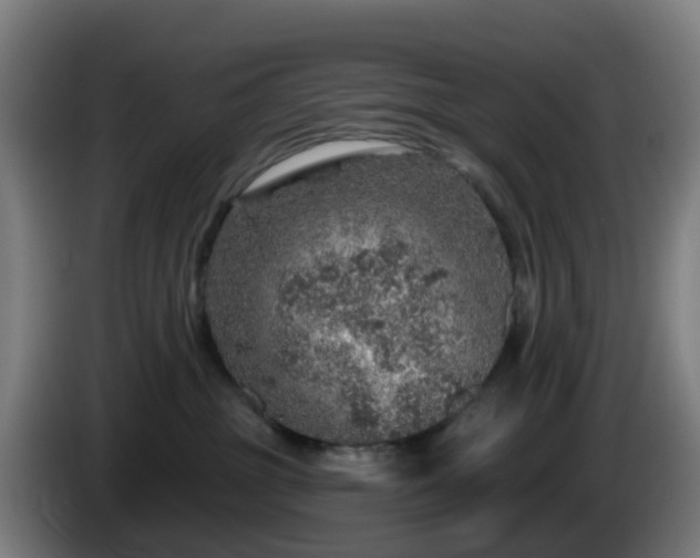 X0000086100381200703301220