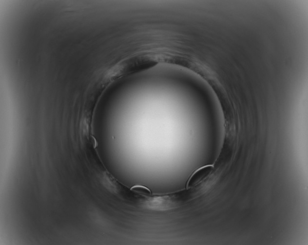 X0000086100382200703301220