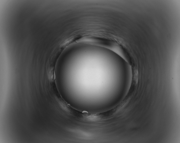X0000086100383200703301220