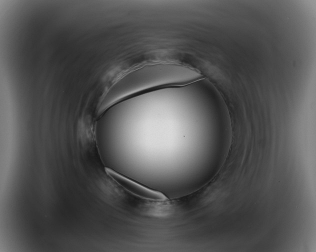 X0000086100384200703301220