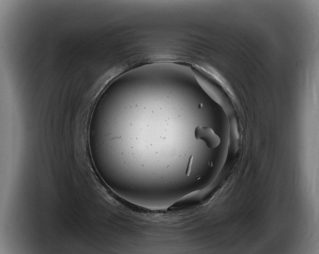X0000086100385200703301219
