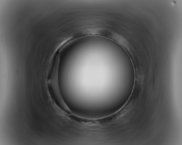 X0000086100386200703301219
