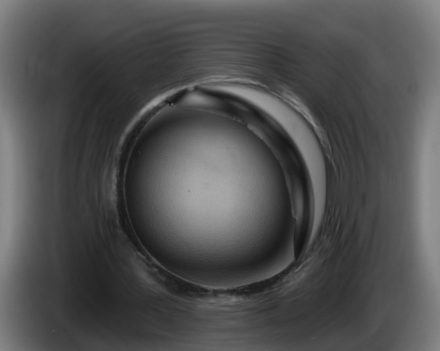X0000086100387200703301219