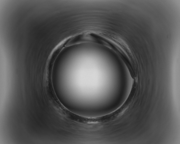 X0000086100388200703301219