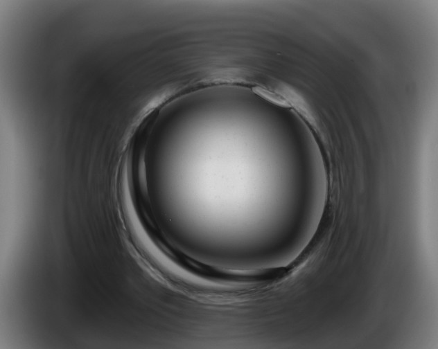 X0000086100389200703301219