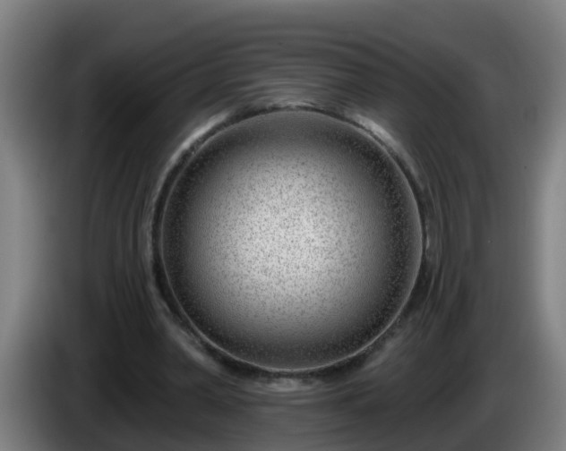 X0000086100390200703301219
