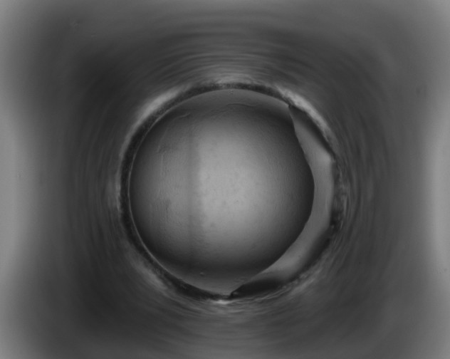 X0000086100391200703301219