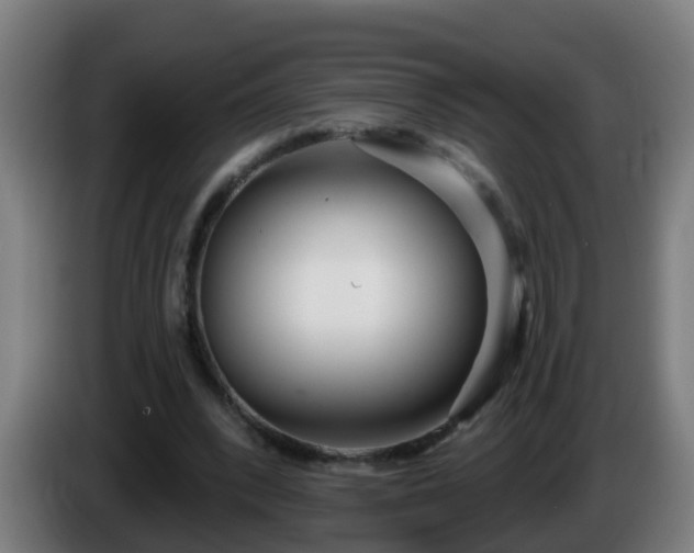X0000086100392200703301219