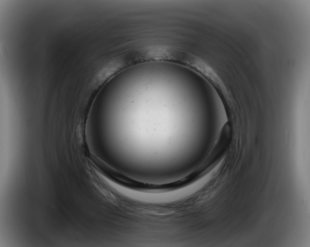 X0000086100393200703301219