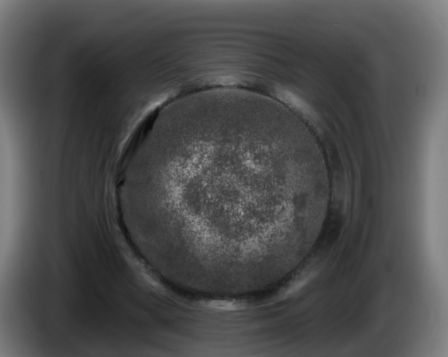 X0000086100394200703301219