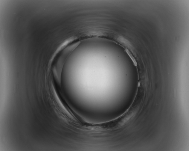 X0000086100395200703301219