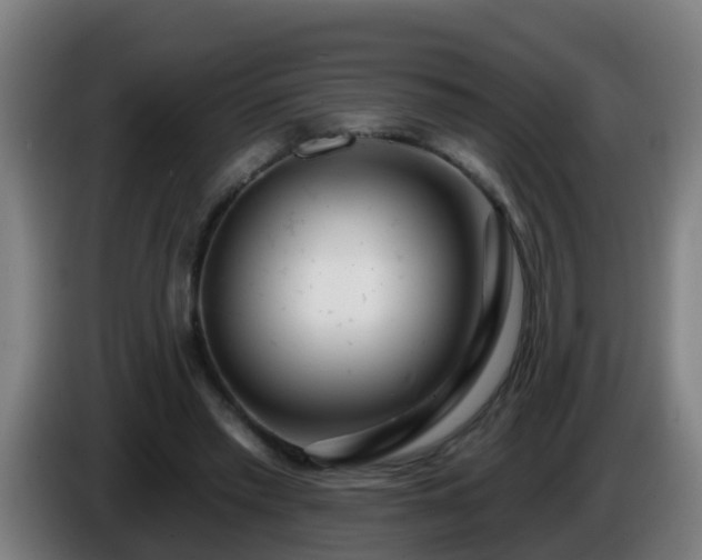 X0000086100397200703301219