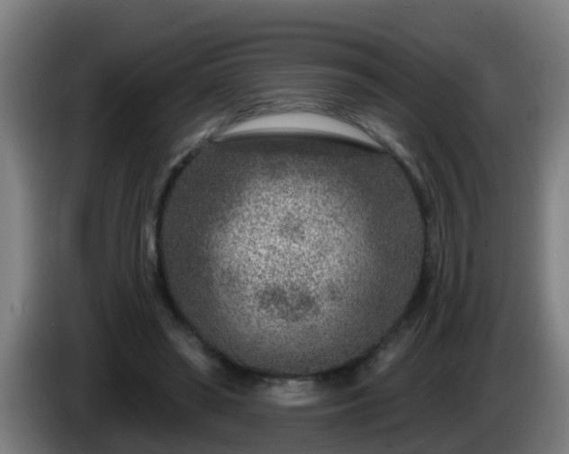 X0000086100398200703301219