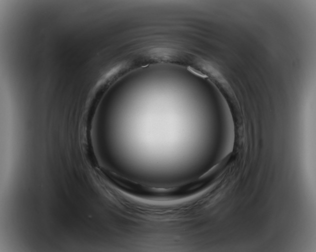 X0000086100399200703301219