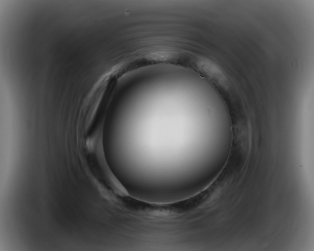 X0000086100400200703301219
