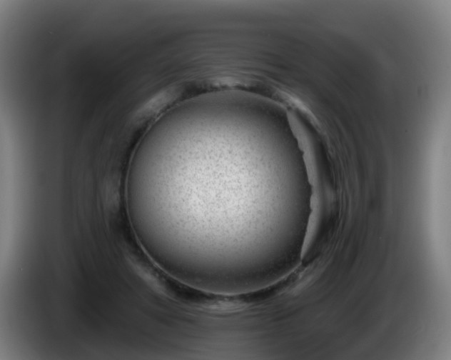X0000086100402200703301219