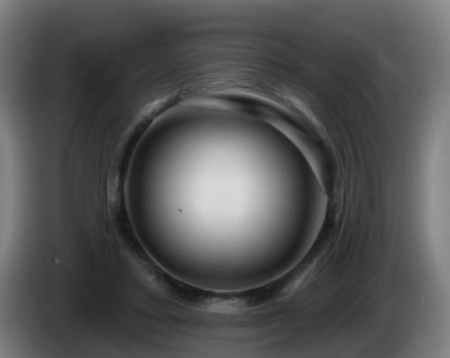 X0000086100403200703301219