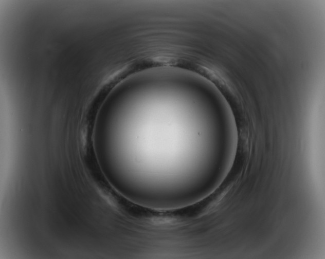 X0000086100404200703301219