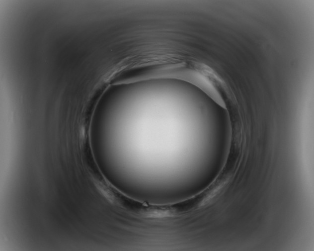 X0000086100405200703301219
