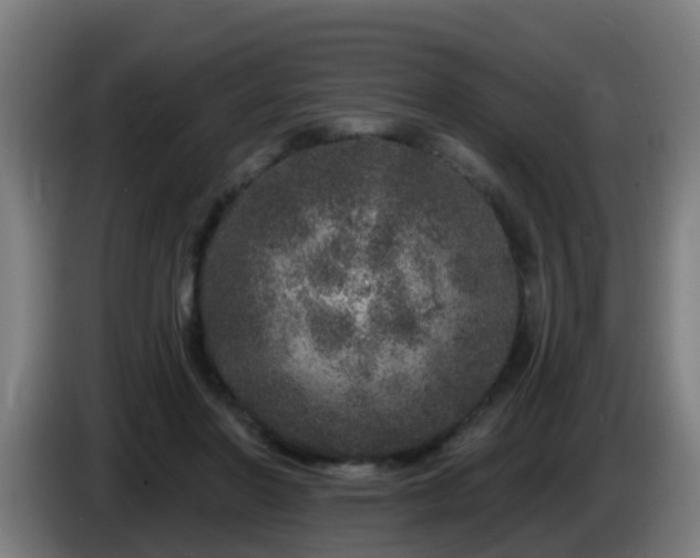 X0000086100406200703301219