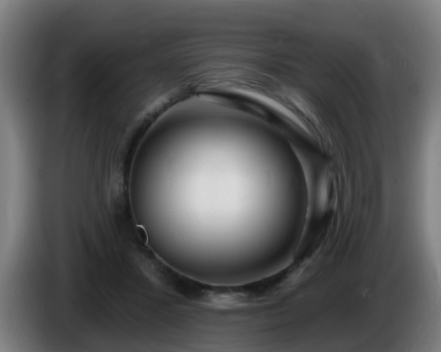 X0000086100407200703301219