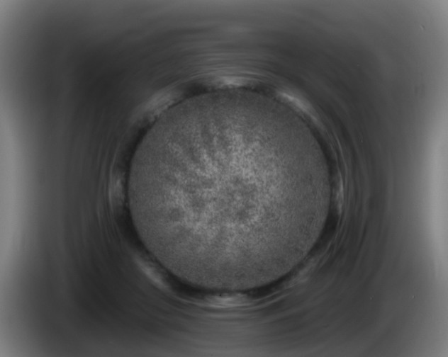 X0000086100410200703301219