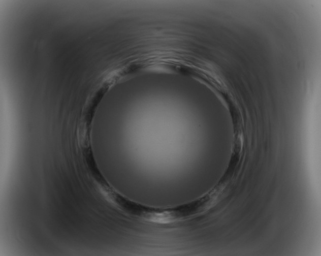 X0000086100411200703301219