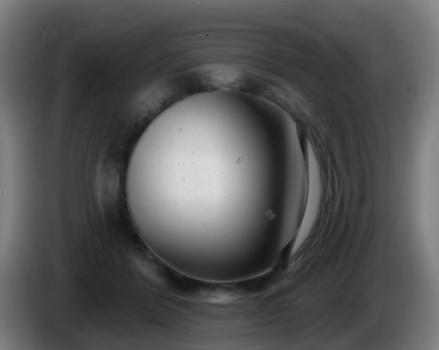 X0000086100412200703301219