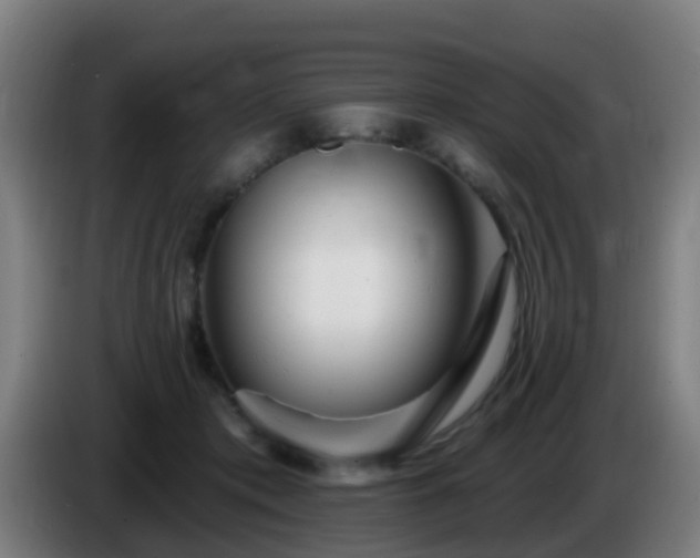 X0000086100413200703301219